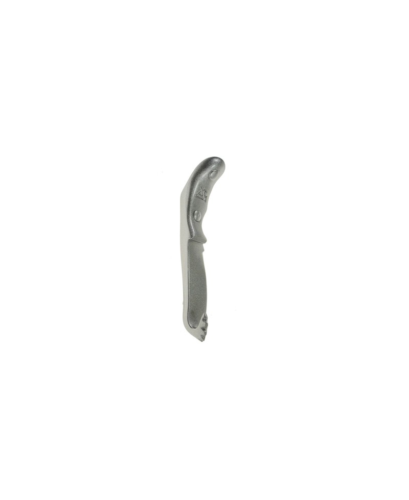 COLTELLO APPENDINO, Appendino a forma di coltello, Antartidee